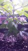 20150607_112426.jpg