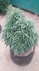 20150807_082919.jpg