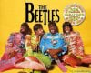 beetles.jpg