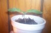 100_4219.jpg