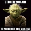 yoda.jpg