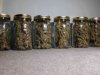 jars1[1].jpg