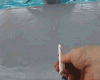 dolphin-weed.gif