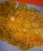 tmp_8883-20160105_161937-11259474878.jpg