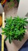 20160129_230520.jpg