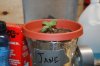 stelthgrower44-albums-first-grow-box-picture35019-jane-2-5-09.jpg