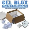 gel-blox-cold-shipping-pack-lg.jpg