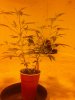 20160329_000935.jpg