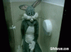 bunnycreep.gif