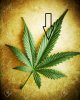 7454996-Cannabis-leaf-on-grunge-background-shallow-DOF--Stock-Photo-marijuana.jpg