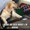 I-Have-No-Idea-What-Im-Doing-Dog-04.jpg