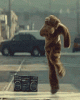 Break-Dance-Bear--79901.gif