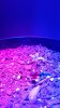 20160419_031733.jpg