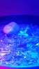 20160419_054710.jpg