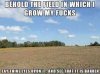 field of fucks.jpg