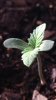 20160419_170548.jpg