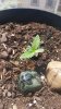 20160421_135935.jpg