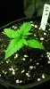 20160507_025532.jpg