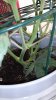 20160511_170212.jpg