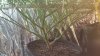 20160517_154634_HDR.jpg