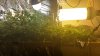 20160517_155030_HDR.jpg
