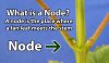 marijuana-node-explanation-manifold.jpg