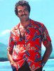 magnum-pi-selleck-3.jpg