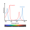 Chlorophyll_ab_spectra-en.svg.png