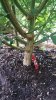 20160709_075900.jpg