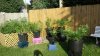 IMG-20160712-WA0001.jpg