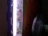 IMG00057-20090220-1456.jpg