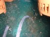 DSC01610.jpg