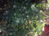 20160915_174128.jpg