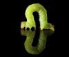 450-178142318-inchworm-locomotion-loop.jpg