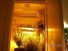 Grow Closet 089.jpg