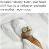 meow-mosa.jpg