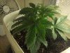 Day 17-2.jpg