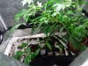 DSC01644.JPG