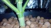 IMG_20161129_155016.jpg