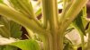 20161209_203425.jpg