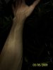 100_2865.jpg