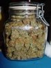 dsc_cannabis-bud-shot.jpg