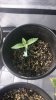 20170102_150443.jpg