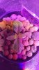 20170127_194754.jpg