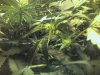 Photo-0004.jpg