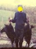 Spring Turkeys 1994.jpg