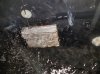 20170304_205127.jpg