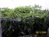 100_3097.jpg