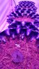 20170319_091344_HDR.jpg