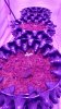 20170319_091337_HDR.jpg